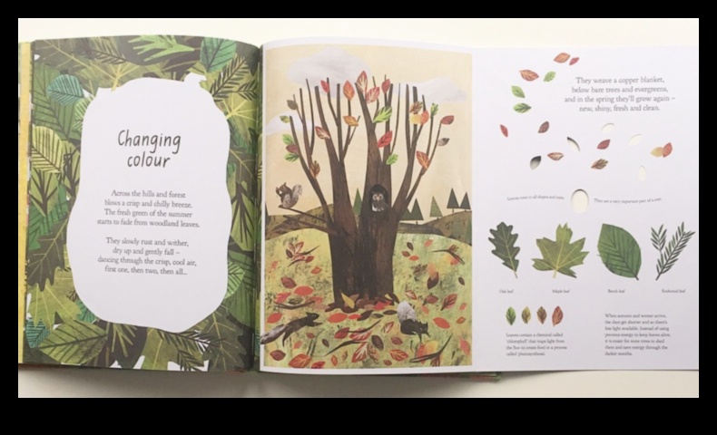 Pastaiga pa dabu: soli pa solim atklātas skaistas ainavas