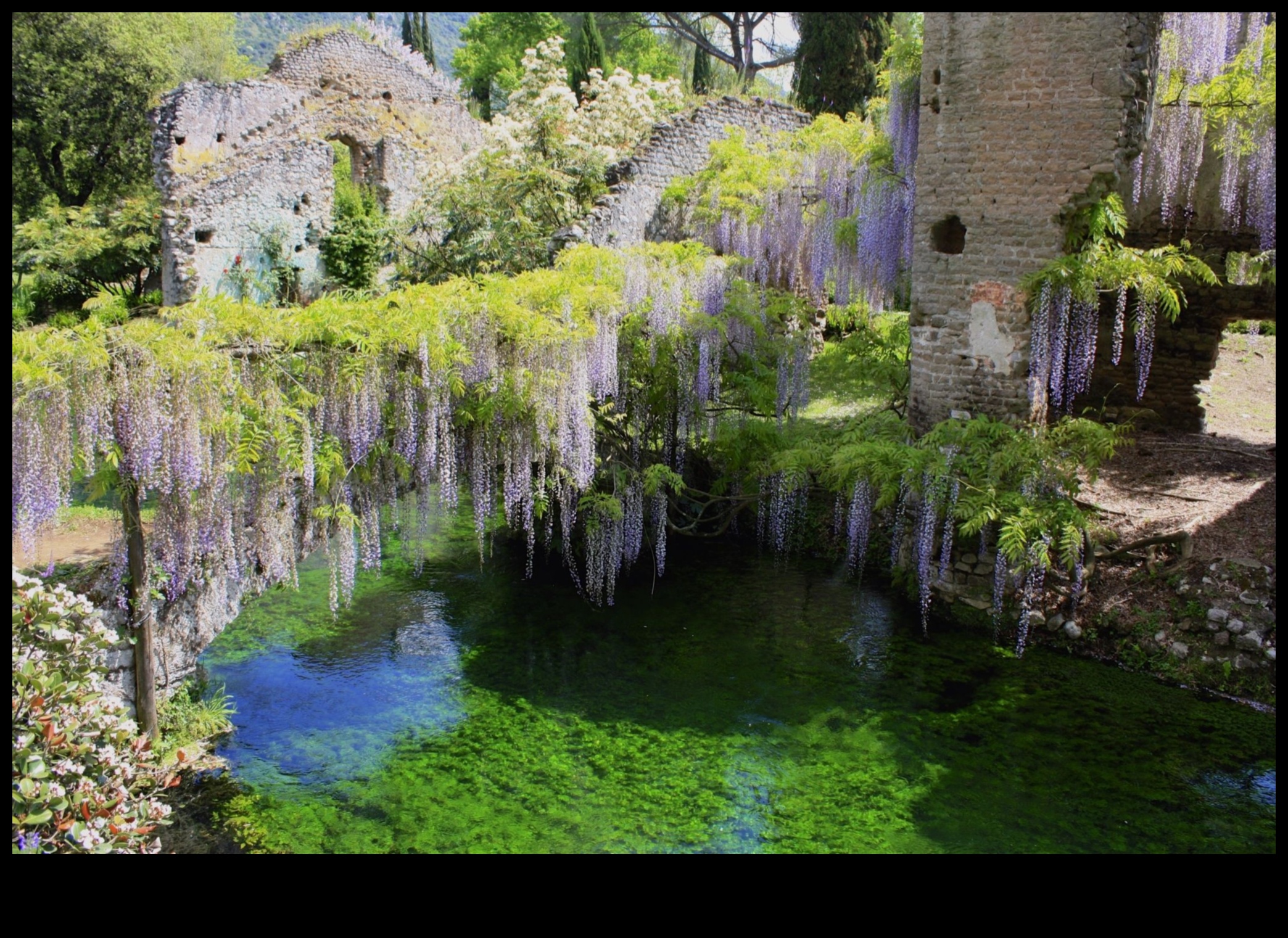Slepenie dārzi: slēptie dārgakmeņi zaļo zonu vidū