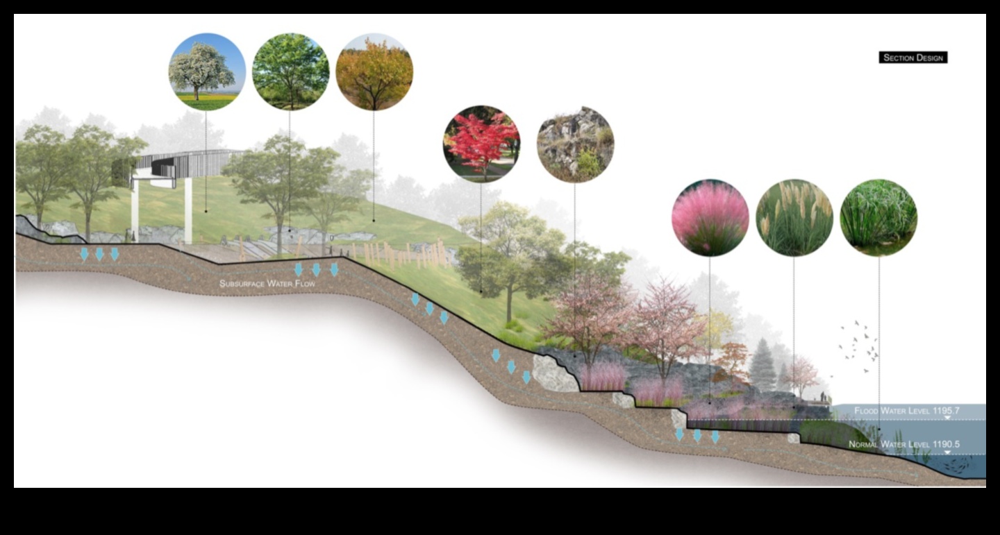 Kāda loma topogrāfijai ir sauszemes ainavu veidošanā?