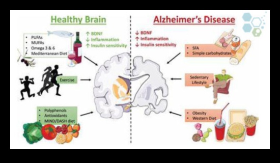 Zema ogļhidrātu satura diētas priekšrocības smadzeņu veselībai