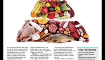 Degviela mūžam: uzturvērtības maksimāla palielināšana jūsu uzturā