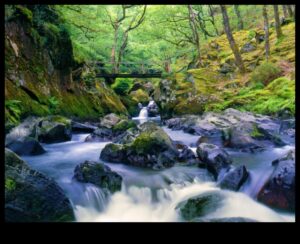 Lauku dzīves būtība: gleznainās lauku ainavas