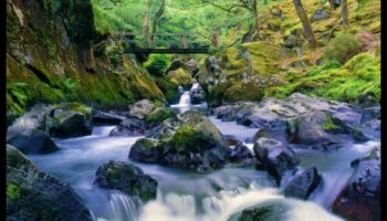 Lauku dzīves būtība: gleznainās lauku ainavas