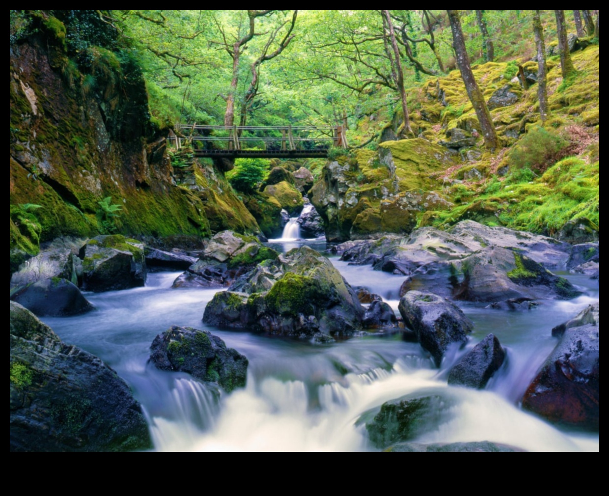 Lauku dzīves būtība: gleznainās lauku ainavas