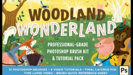 Mīklaini meži: meža ainu noslēpumi