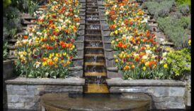 Slepenie dārzi: slēptie dārgakmeņi zaļo zonu vidū