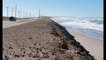 Piekrastes erozija: klinšu un krasta līniju veidošana