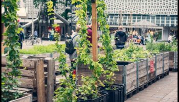 Pilsētas oāzes: parki un dārzi kņadas vidū