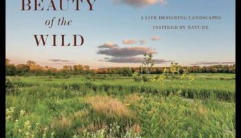 Wilderness Wonders: ainavas ārpus iztēles