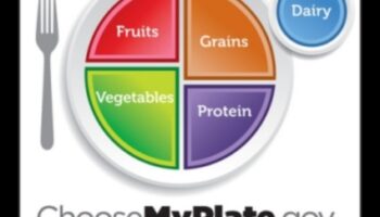 Bērnu šķīvis: līdzsvarojošs uzturs augošam ķermenim