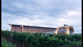 Vineyard Vistas II: Vīna dārzu mākslas izpēte visā pasaulē