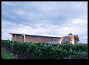 Vineyard Vistas II: Vīna dārzu mākslas izpēte visā pasaulē