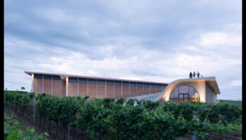 Vineyard Vistas II: Vīna dārzu mākslas izpēte visā pasaulē