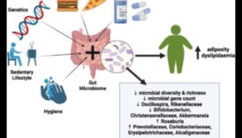 Diētas ar zemu tauku saturu un zarnu mikrobioms: simbiotiskas attiecības